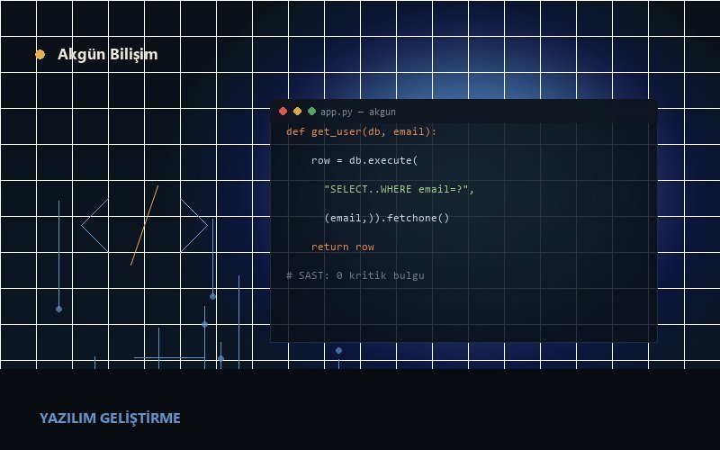 Software Development